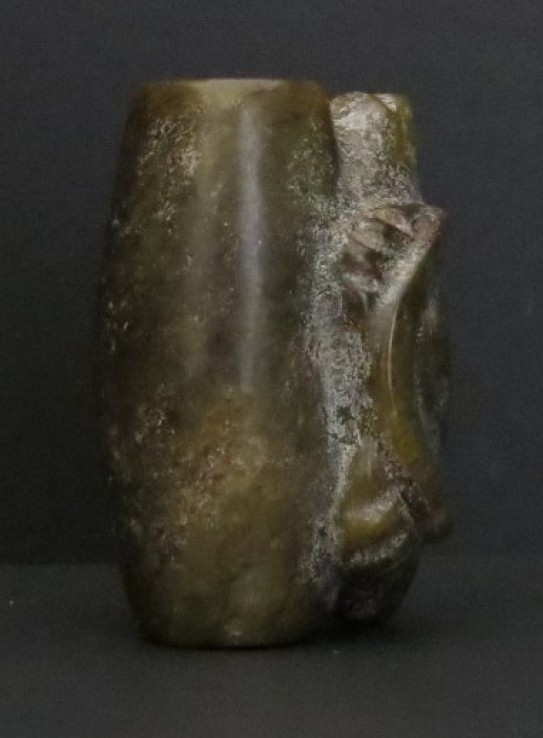 Figure 77b. Turtle on the bottomless tube side.